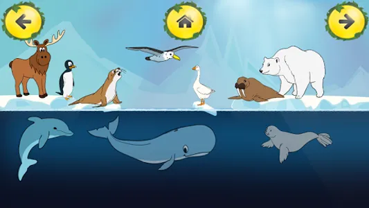Animal Sounds Learn-Find Game screenshot 3
