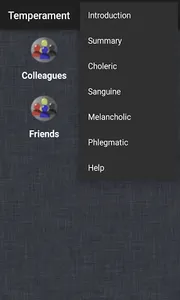 Temperament screenshot 4