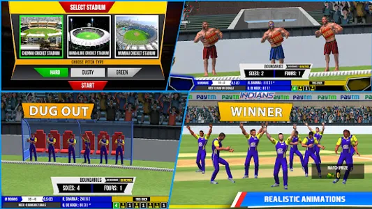 Indian Cricket Premiere League screenshot 1