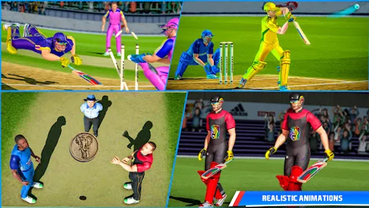 Indian Cricket Premiere League screenshot 11