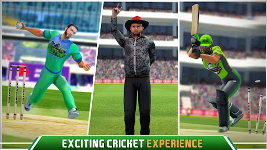 Pakistan Cricket League screenshot 1