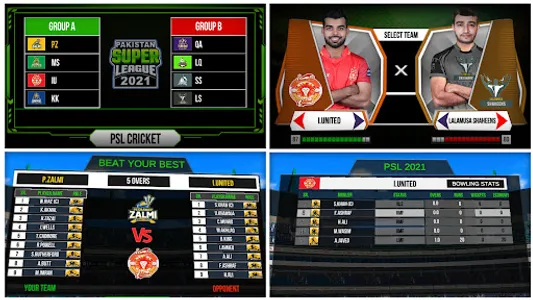 Pakistan Cricket League screenshot 14