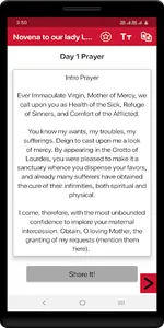 Our Lady of Lourdes screenshot 2