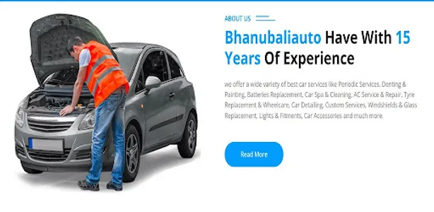 Bhanu Bali Auto screenshot 1