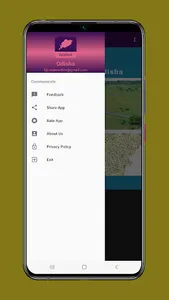 Odisha Bhulekh Land Record screenshot 2