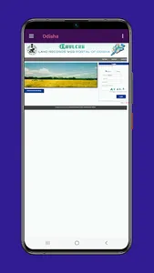 Odisha Bhulekh Land Record screenshot 5