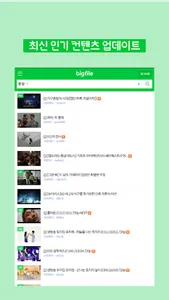 빅파일mini - 영화, 드라마, 예능 실시간 보기 screenshot 11
