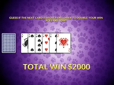 Casino Cash Cats Kitty Slots screenshot 22