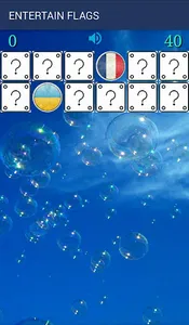 ENTERTAINMENT FLAGS screenshot 0