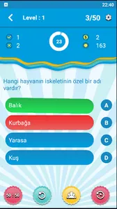 internetsiz Bilgi yarışması screenshot 6