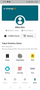e-sinergi46 screenshot 4