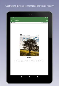 Learn German Vocabulary screenshot 11