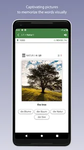 Learn German Vocabulary screenshot 3