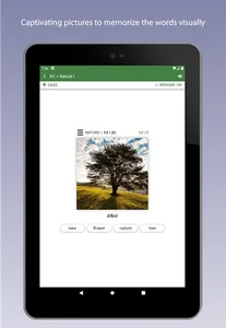Learn English Vocabulary screenshot 10