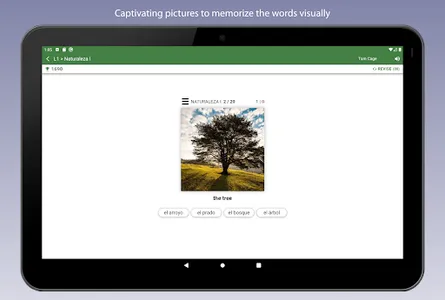Learn Spanish Vocabulary screenshot 19