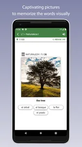 Learn Spanish Vocabulary screenshot 3