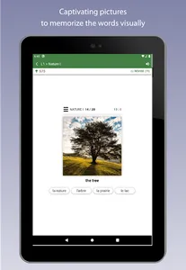 Learn French Vocabulary screenshot 11