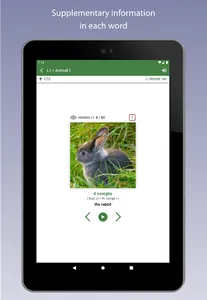 Learn Italian Vocabulary screenshot 10