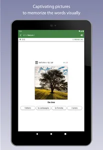 Learn Italian Vocabulary screenshot 11