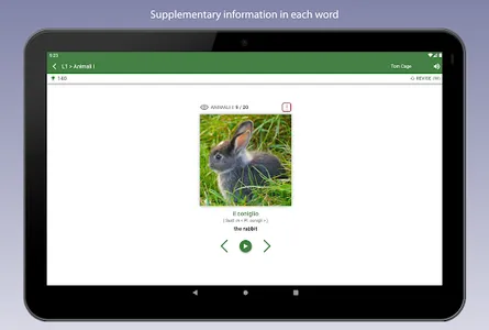 Learn Italian Vocabulary screenshot 18