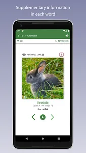Learn Italian Vocabulary screenshot 2