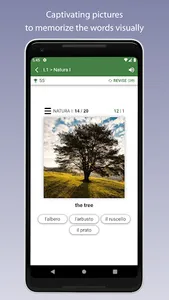 Learn Italian Vocabulary screenshot 3