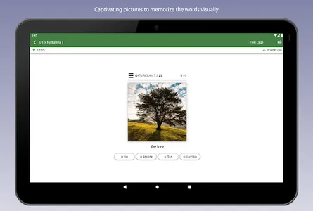 Learn Portuguese Vocabulary screenshot 19
