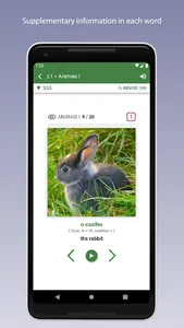 Learn Portuguese Vocabulary screenshot 2