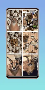 Шлепа Floppa Обои HD screenshot 2
