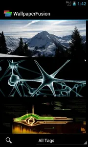 WallpaperFusion screenshot 2