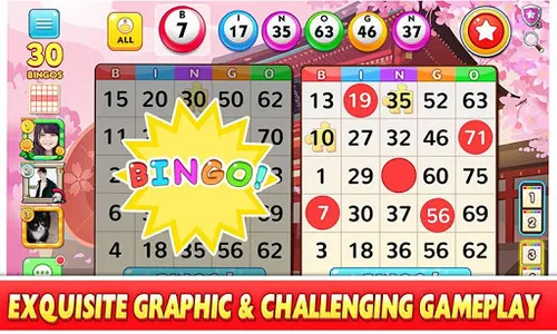 Bingo Win screenshot 11