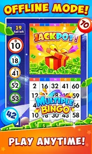 Bingo Win Cash screenshot 5