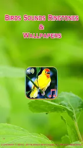 Birds Sounds Ringtones screenshot 0