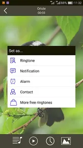 Birds Sounds Ringtones screenshot 2