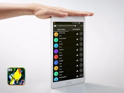 Birds Sounds Ringtones screenshot 8