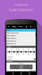 Piano Chord, Scale, Progressio screenshot 4