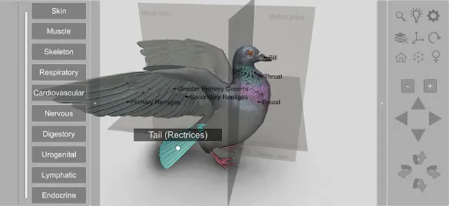 3D Bird Anatomy screenshot 0