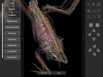 3D Bird Anatomy screenshot 13