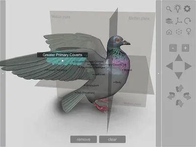 3D Bird Anatomy screenshot 16