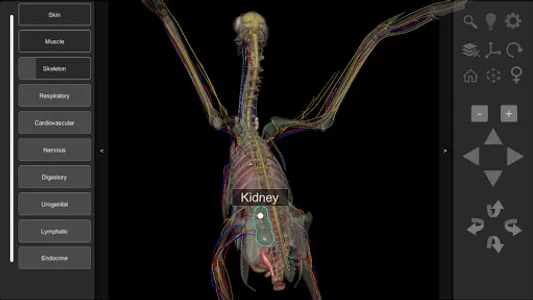 3D Bird Anatomy screenshot 7