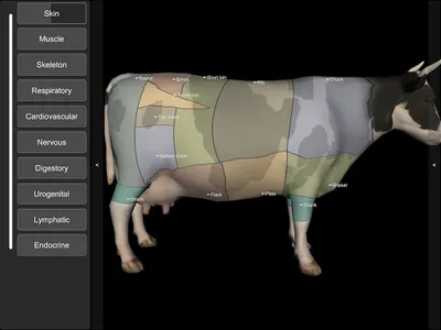 3D Bovine Anatomy screenshot 14