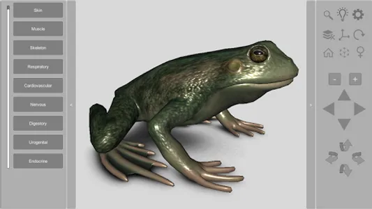 3D Frog Anatomy screenshot 0