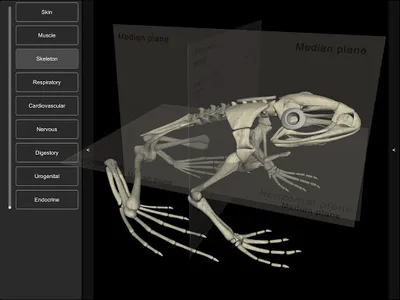 3D Frog Anatomy screenshot 10