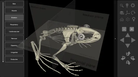 3D Frog Anatomy screenshot 2