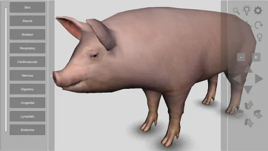 3D Pig Anatomy screenshot 0