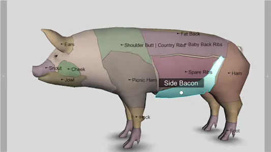 3D Pig Anatomy screenshot 4