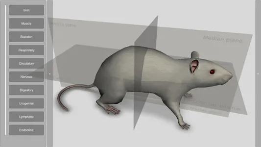 3D Rat Anatomy screenshot 0