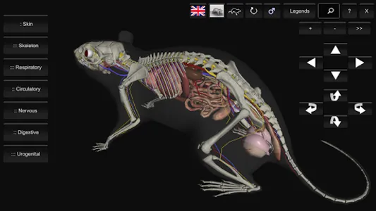 3D Rat Anatomy screenshot 16