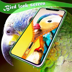 Bird lock screen screenshot 6