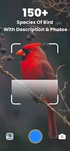 Bird ID - Picture Identifier screenshot 0